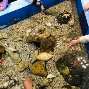 1 July<br>Maritime and freshwater discovery centre