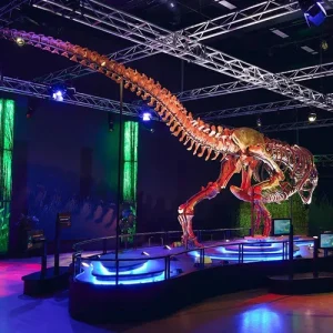 30 June<br>Melbourne museum